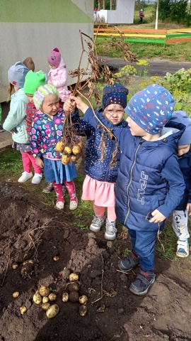 Уборка урожая в детском саду